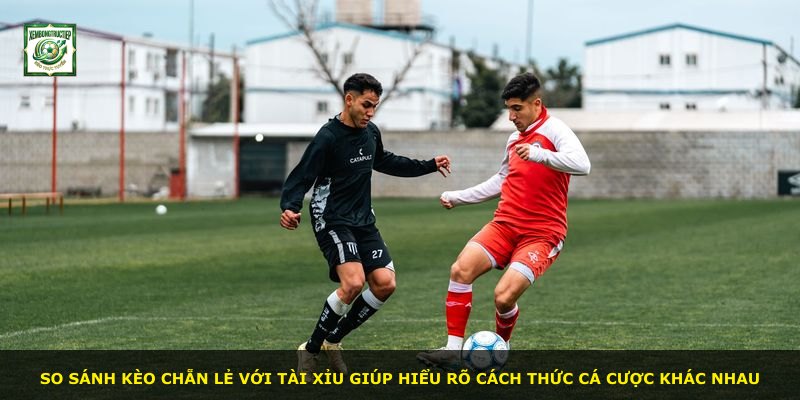 So sánh kèo chẵn lẻ với tài xỉu giúp hiểu rõ cách thức cá cược khác nhau