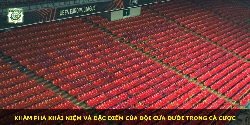 Khám phá khái niệm và đặc điểm của đội cửa dưới trong cá cược