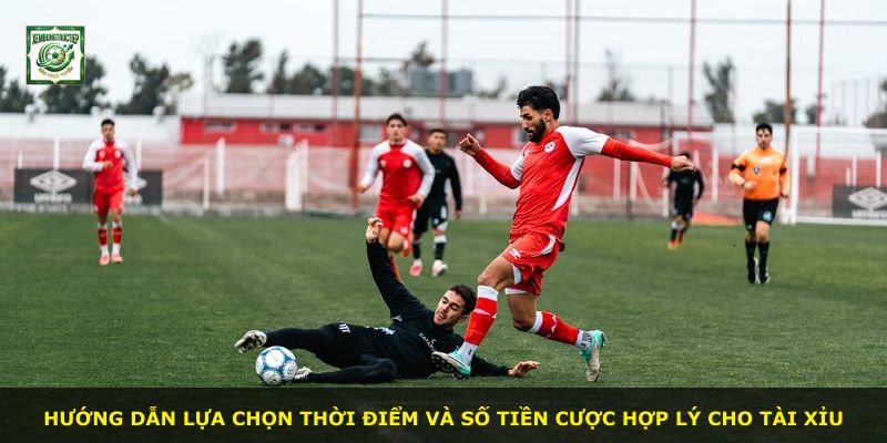 Hướng dẫn lựa chọn thời điểm và số tiền cược hợp lý cho Tài Xỉu