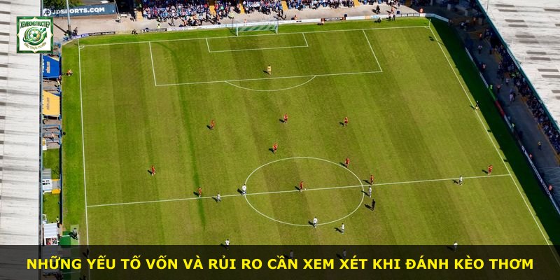 Những yếu tố vốn và rủi ro cần xem xét khi đánh kèo thơm