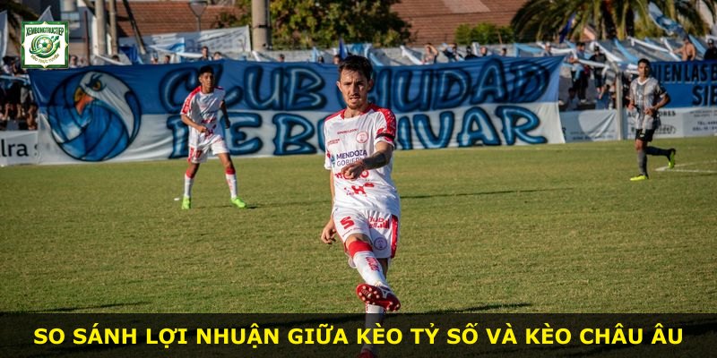 So sánh lợi nhuận giữa kèo tỷ số và kèo châu Âu